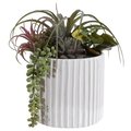 Safavieh Faux Mixed Succulent Potted Plant, White FXP1011A